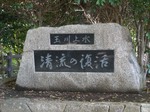 清流の復活.jpg